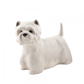 Quail Westie