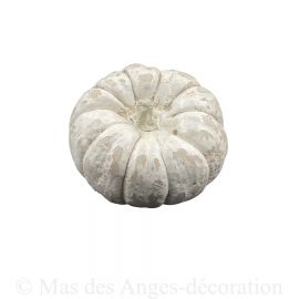 Motif en plâtre - Courge petite - blanche