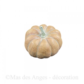 Courge modèle moyen